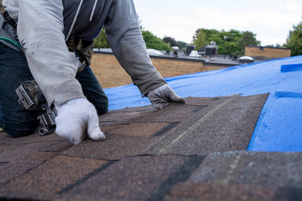 Best Residential Roofing Contractor  in Forest Glen, MD